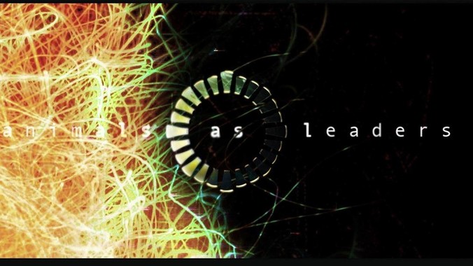 只能选一个，你选谁？